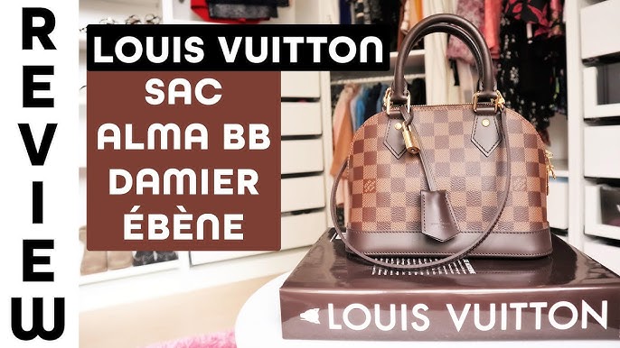 Louis Vuitton Rosalie Coin Purse  Review and Wear after 5 months