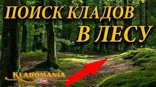 ПОИСК КЛАДОВ С ЛЕСУ. Коп монет в лесу. Часть 1 🌲🌲🌲 Кладомания