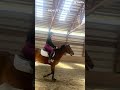 Progress! 🐴👶 #eq #equestrian #horse #fypシ #fypシ゚viral #showjumping #fyp #tiktok #shorts