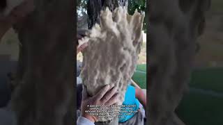 Creating a Realistic Faux Tree Trunk