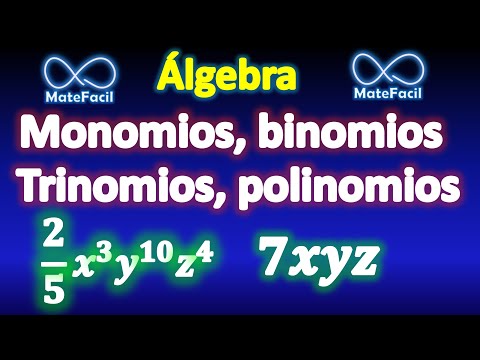Video: ¿Qué son binomios y polinomios?