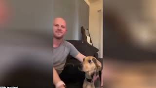 Pawsitively Adorable: Cute Animals Doing Cute Things