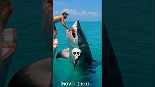 Power Of Transformation Cute Small Shark