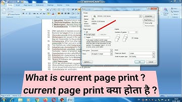 What is current page print