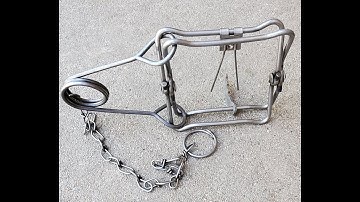 How To Set A #110 Conibear Trap... With The Rope Trick