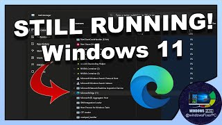Understanding Microsoft Edge Background Activity | Microsoft Edge Still Running on Windows 11 2024