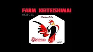 DJ Ayam Serama Kontes