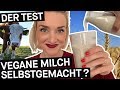 Pflanzenmilch: Wie leicht lässt sich Soja-, Mandel- & Hafermilch selber machen? || PULS Reportage