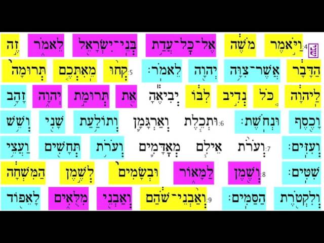 Vayakhel 8