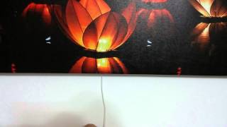 Yüzen Nilufer Led Işikli Kanvas Tablo Üctrsz Krg