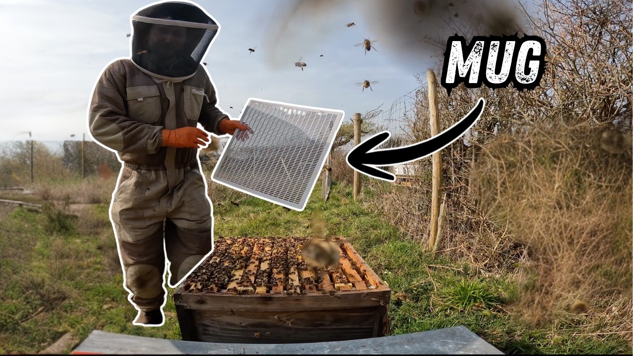 Every Beekeeper Mustn’t Forget This!! - YouTube