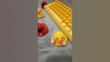 QUACKboard - Lucifer Duck Keyboard with 46 ducks #keyboard