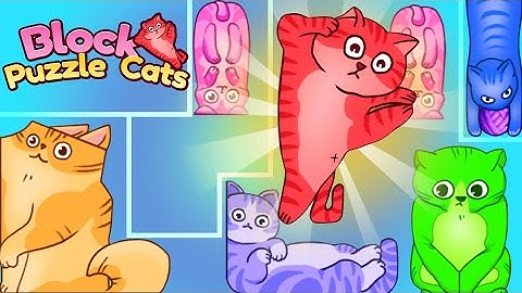 Puzzle cats- relaxing puzzle game 42 -  46 level gameplay ‼️