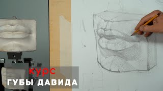 Губы Давида 👄 - А. Рыжкин /Видеокурс /