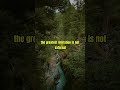 TONY ROBBINS MOTIVATION: ACT AS IF EVERYTHING IS WORKING OUT FOR YOU | LIFE-CHANGING SPEECH