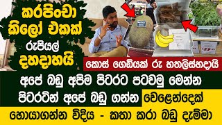 කරපිංචා කිලෝ එකක් රුපියල් දහදාහට රට යවමු - Bimal Wickramasinghe Export Business