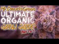 Easiest way to grow organic weed from start to finish  supersoil part 1 of 3