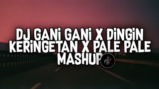 DJ GANI GANI X DINGIN KERINGETAN X PALE PALE MASHUP ( DJ HALAL )