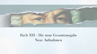 Bach333 - Neue Aufnahmen