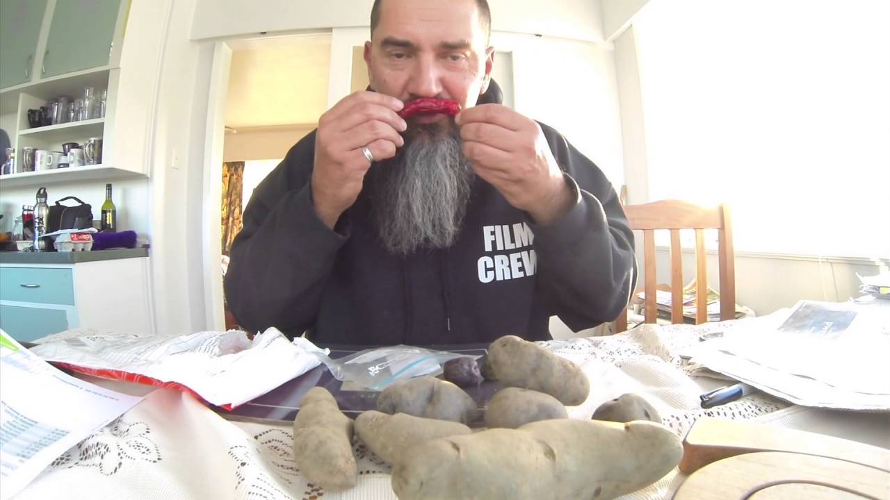 Unboxing Seed Potatoes and Chillies kainos