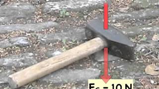 Phm41 Masse Und Gewicht