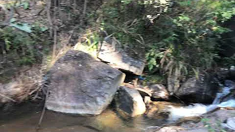 Protecting the environment step by step