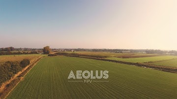 FPV • Chasing The Bird • #shorts