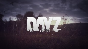 Player Interactions | Dayz Standalone