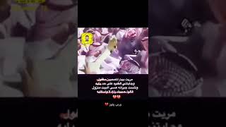 مريت بيت للمحبين مقفول