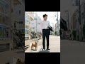 #犬のいる暮らし #豆柴 #柴犬 #犬好きさんと繋がりたい #癒し