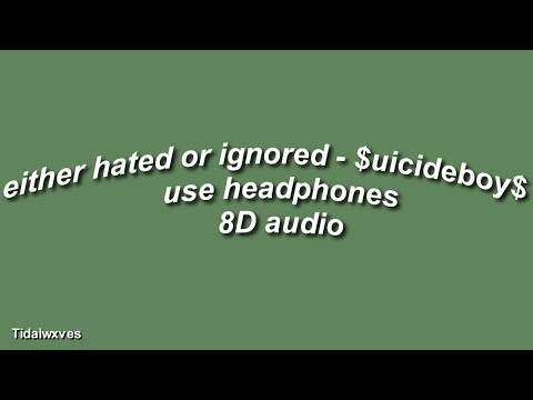 Either Hated or Ignored - $uicideboys$ 8D AUDIO