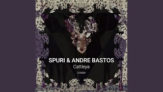 Download Lagu Cattleya Download Lagu Cattleya