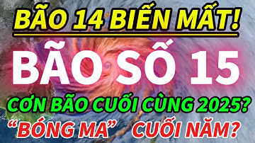 🔥 KHẨN! BÃO SỐ 15 CÓ THẬT HAY CHỈ LÀ “BÓNG MA” CUỐI NĂM?