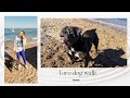 A day with our swimmer dog Toro on Dahab beach/ توروا بيقضى يوم جميل على شاطئ دهب