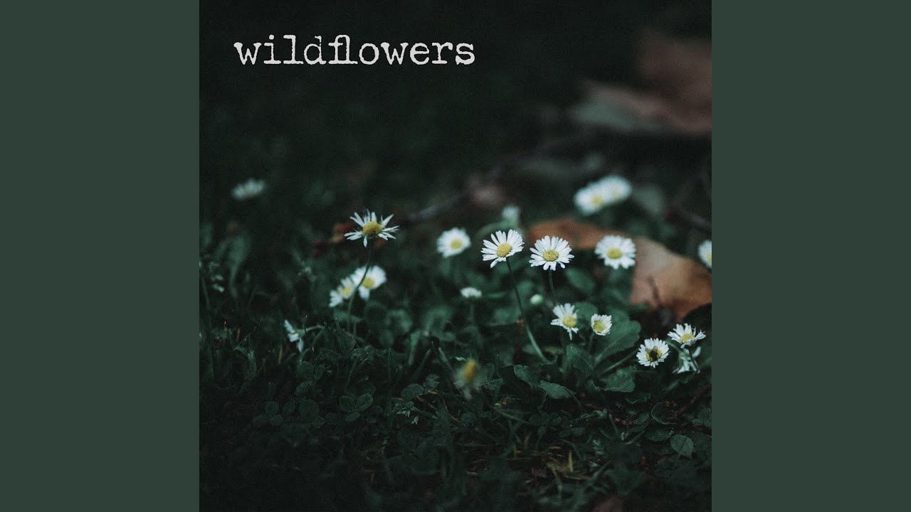 Watch wildflowers on YouTube Watch wildflowers on YouTube
