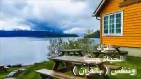 حالات واتساب عامر الكاظمي سوره الضحى