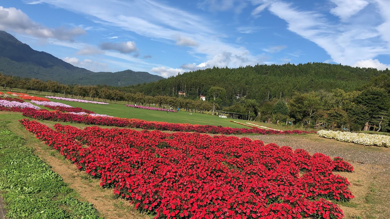 Japan Travel guide.| most beautiful visit places in japan.| Yamanakako