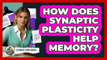 How Does Synaptic Plasticity Help Memory? - Ultimate Study Hacks