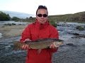 Big brown trout fishing in mataura river gore new zealand