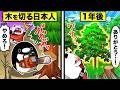 【実話】壊滅寸前の森で木を伐採した日本人の驚きの理由とは【アニメ】