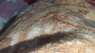 Discovering Hidden Gem Manga Vlog November 2025 Tee Flores Vlogs Mp3