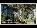 【植物店巡り】「植物と暮らす」がコンセプトのグリーン&インテリアショップ「garage」横浜店でお買い物♪