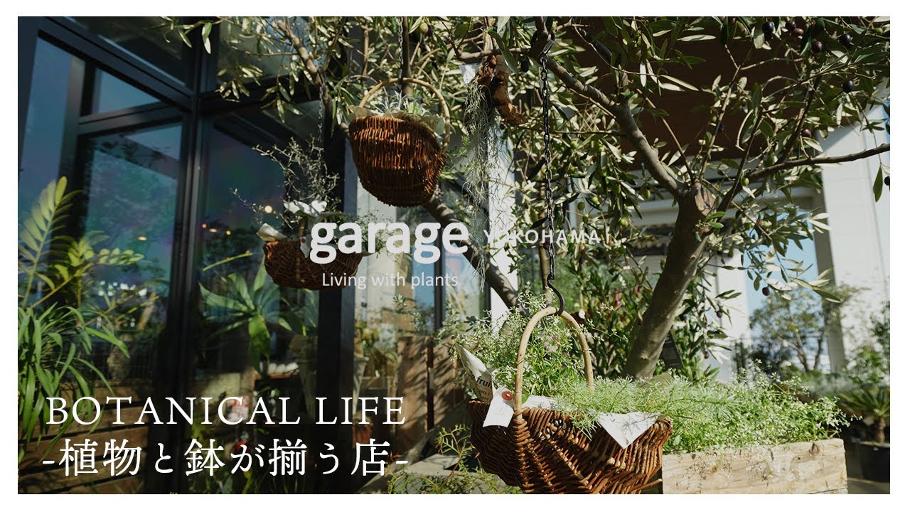 【植物店巡り】「植物と暮らす」がコンセプトのグリーン＆インテリアショップ「garage」横浜店でお買い物♪