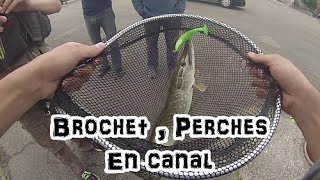 Pêche aux leurres en canal
