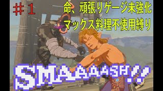 ブレス オブ ザ ヨンマー 1 ハート がんばりゲージ マックス料理縛りプレイ Youtube