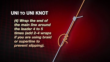 Uni to Uni Knot a k a  Double Uni by Abu Garcia -iboats.com