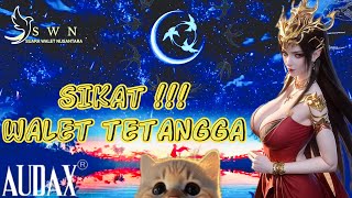 SEDOT PAKSA WALET TETANGGA JOSS | Suara Walet Terbaru