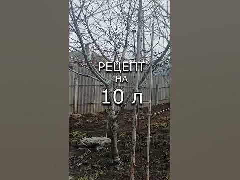 ЧЕМ ОБРАБОТАТЬ ДЕРЕВЬЯ ВЕСНОЙ? - YouTube