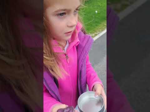 PUTTY ❤️ SLIME 🥳  FUN
