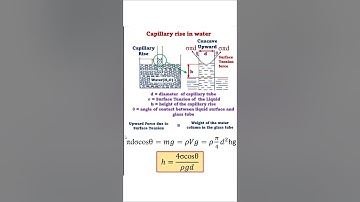 Capillary Rise in Water #fluidmechanics #physics #engineering #fluidmechanics